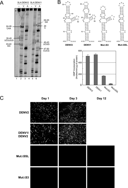 FIG. 4.