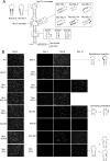 FIG. 6.