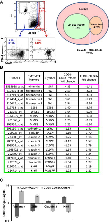 Figure 5