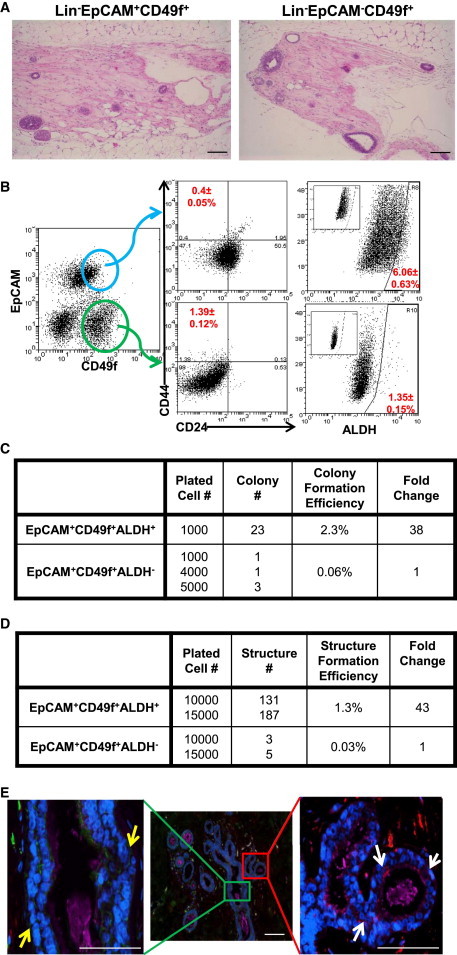 Figure 6