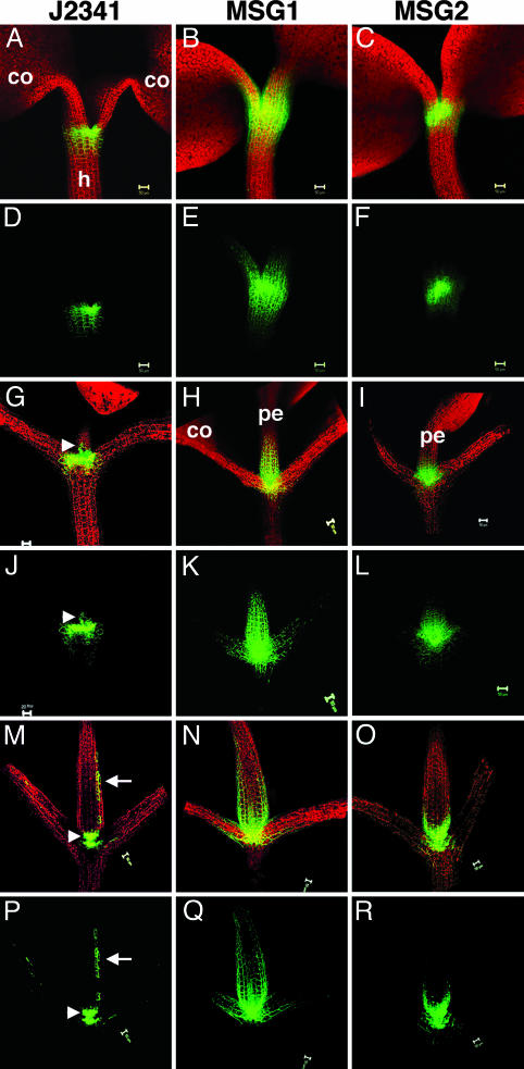 Fig. 3.