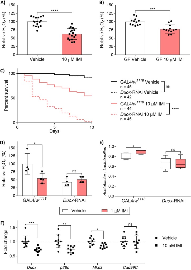 FIG 2