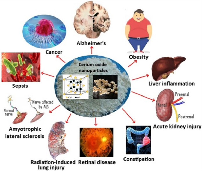 Image, graphical abstract