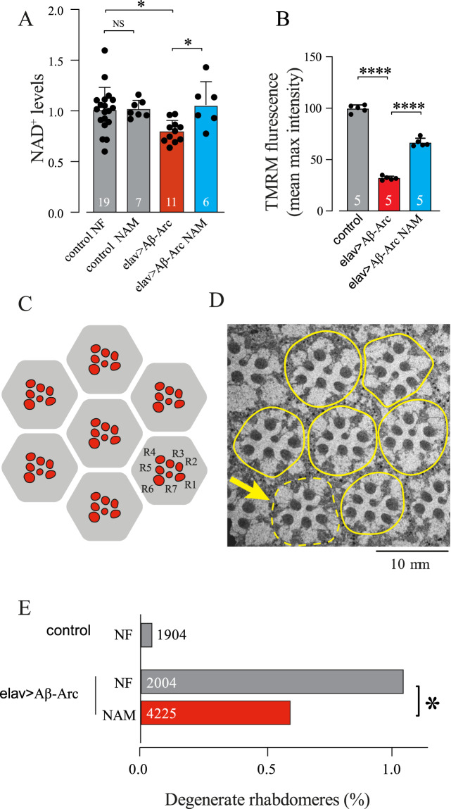 Fig. 3