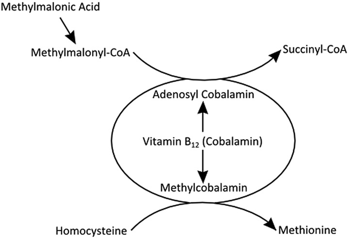 Figure 2