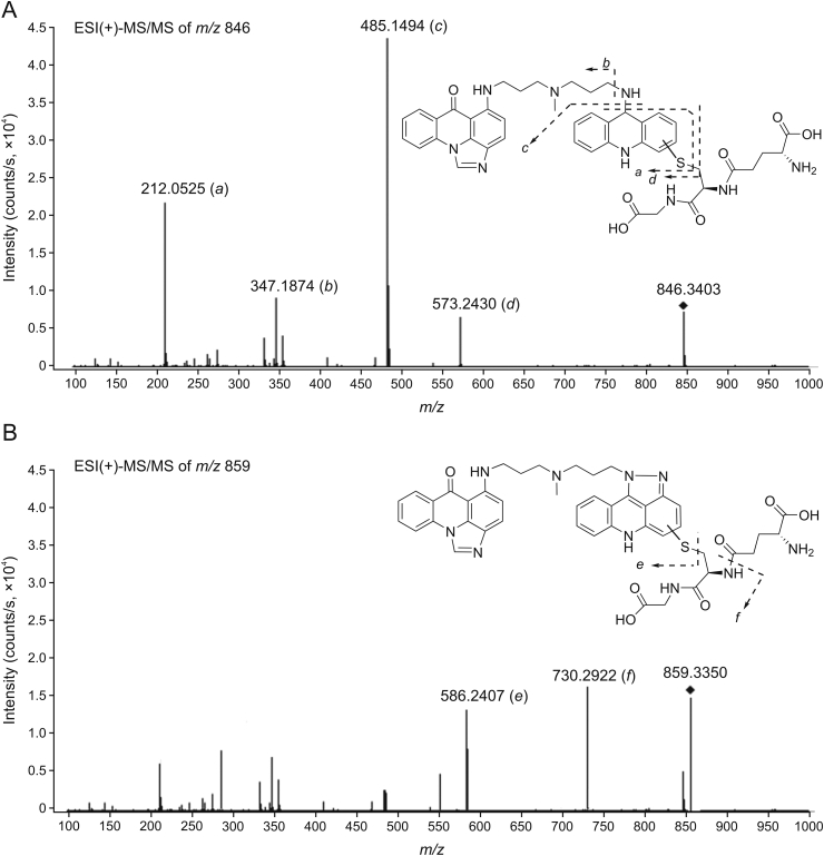 Fig. 7