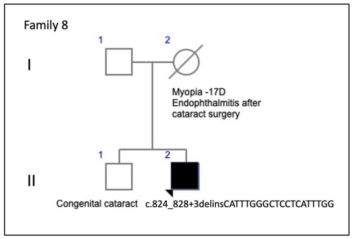 Figure 18