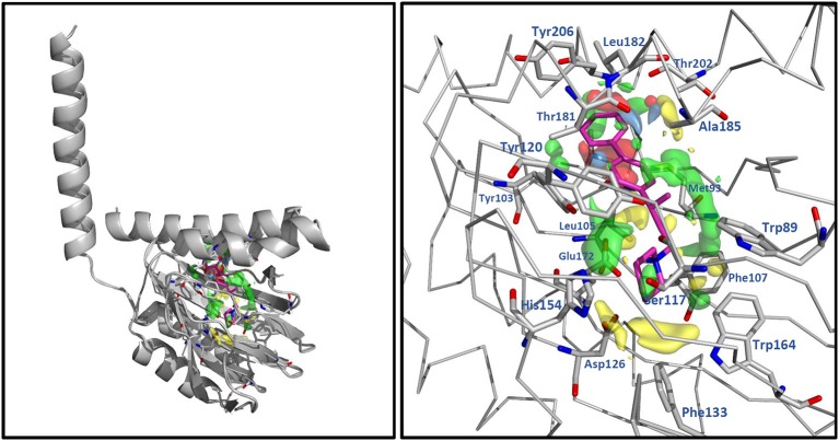 Figure 4