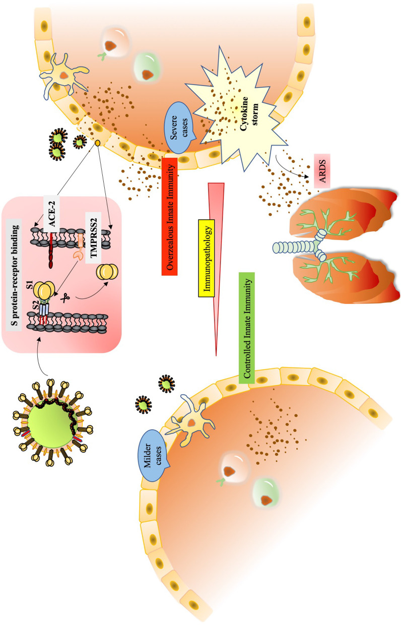 Graphical Abstract