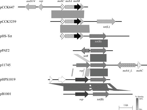 FIGURE 2