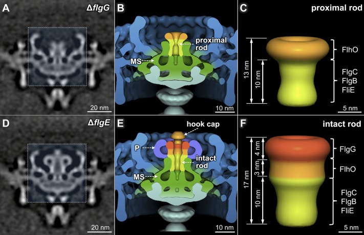 Fig. 4.