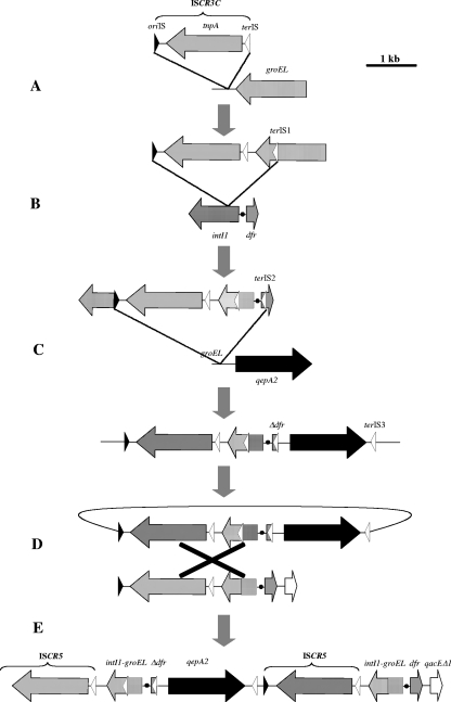 FIG. 2.