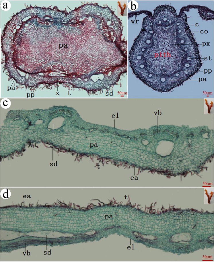 Figure 7