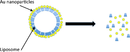 Fig. 6