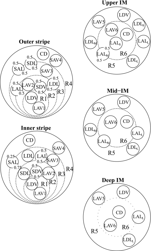 Fig. 1.