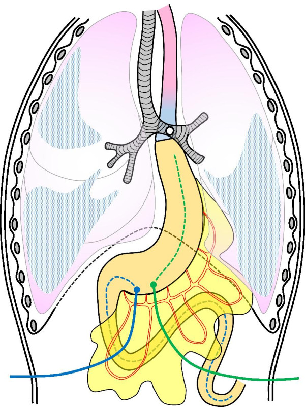 Fig. 3