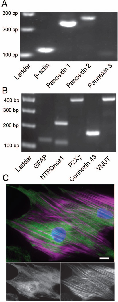 Figure 5