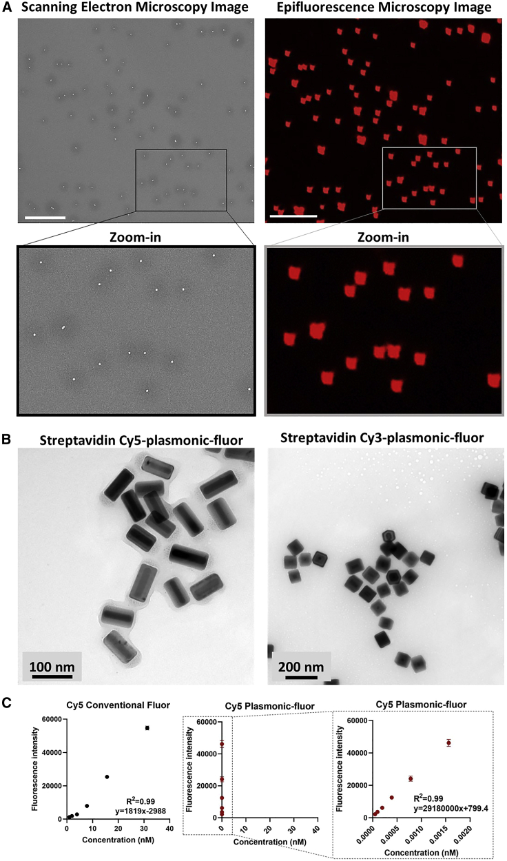 Figure 2