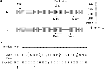 Figure 1.—