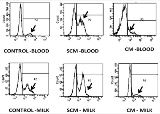 Figure 7b