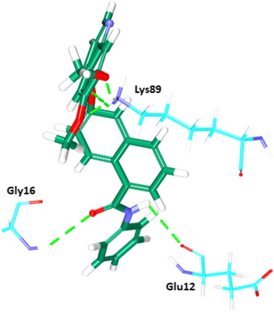 Fig. 19