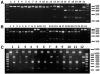 Figure2