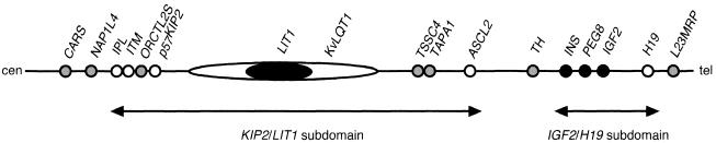 Figure  1