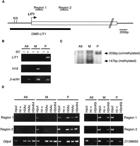 Figure  3