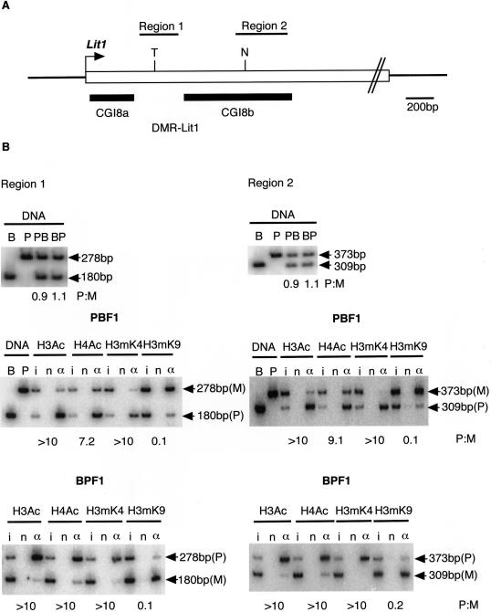 Figure  2