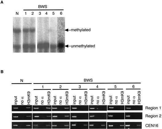 Figure  4