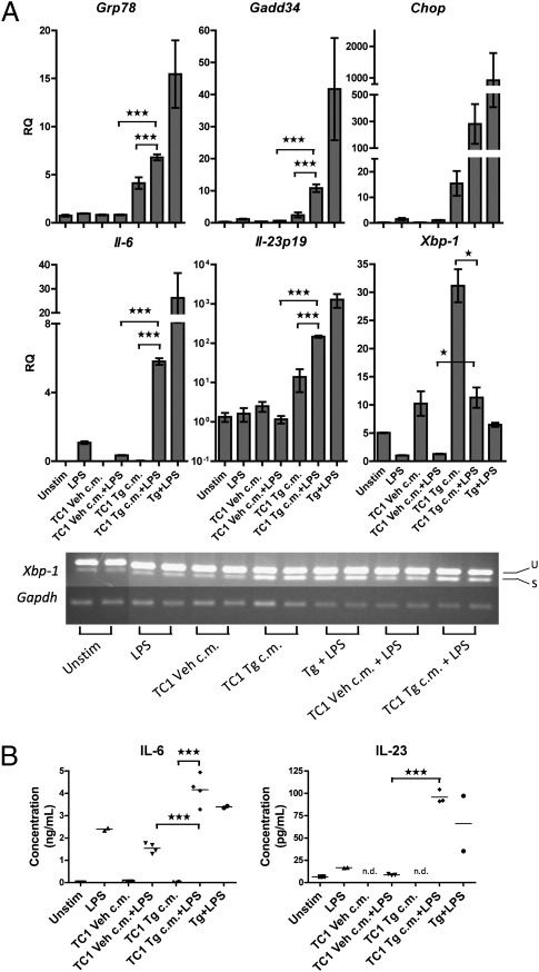 Fig. 4.