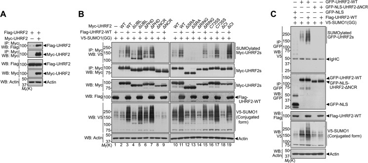 FIGURE 7.