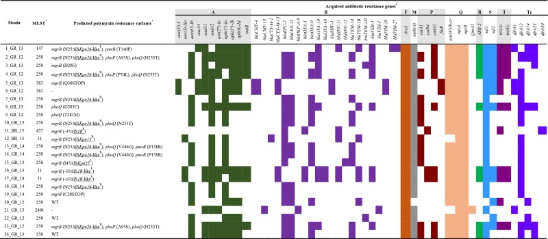 graphic file with name mgen-4-158-ilg001.jpg