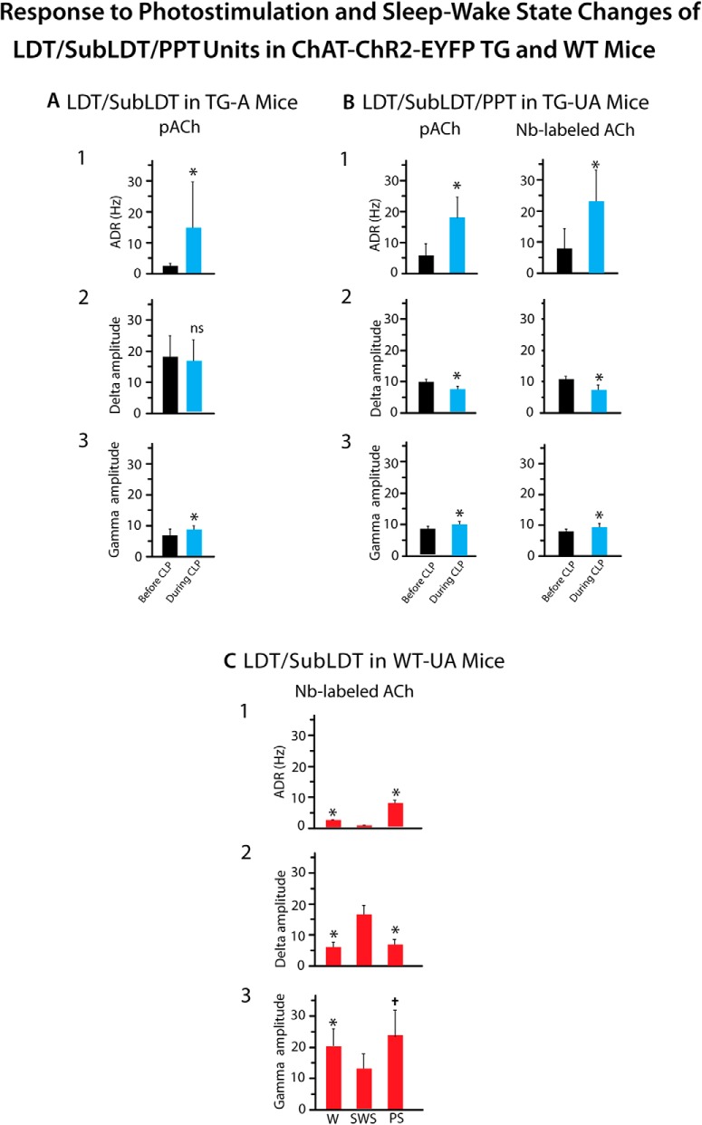 Figure 7.