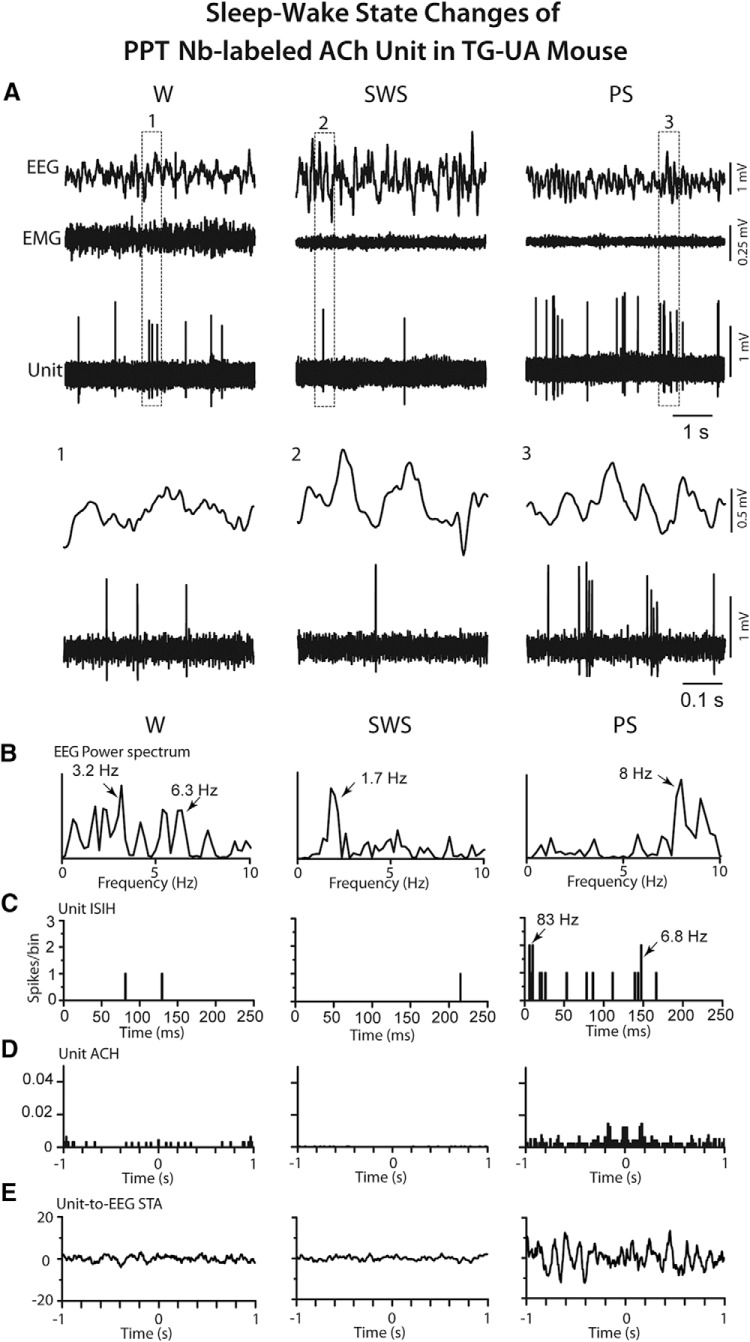 Figure 12.