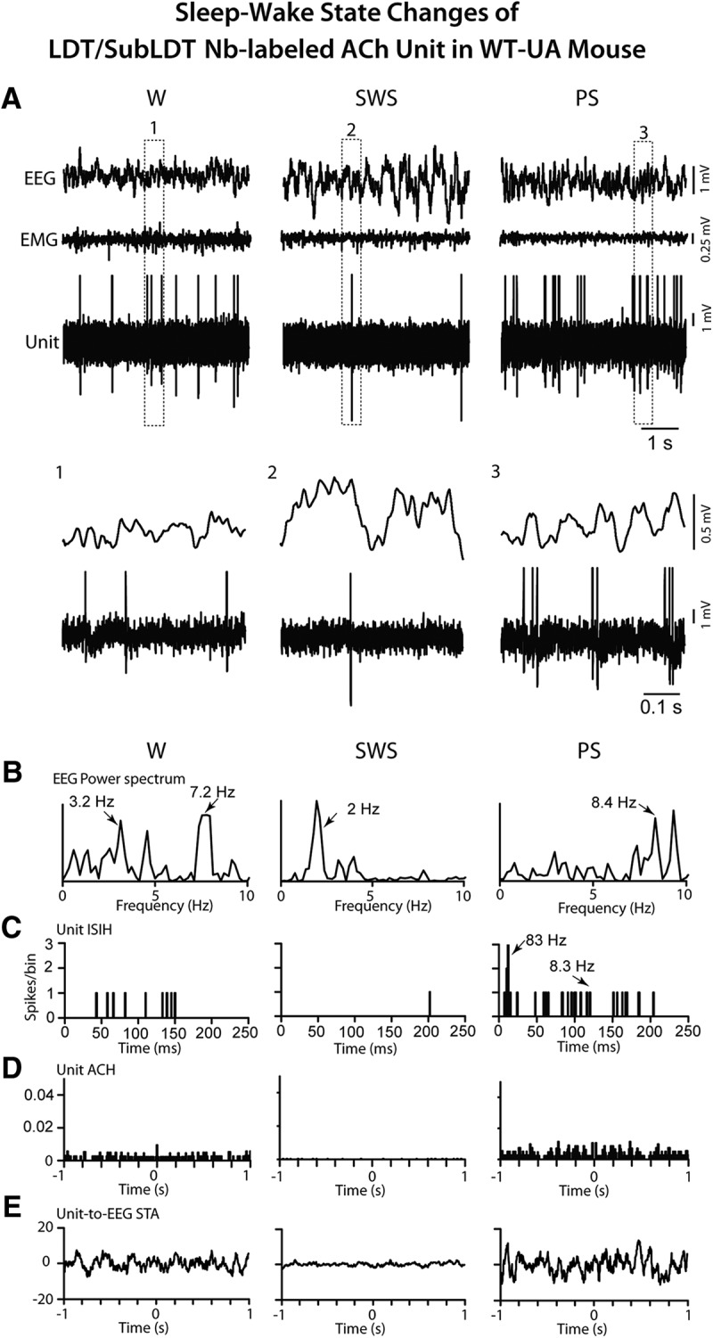 Figure 13.