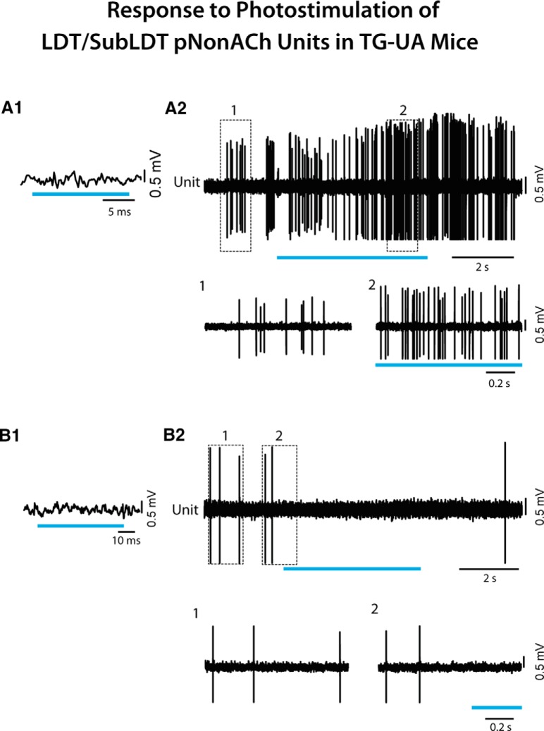 Figure 9.