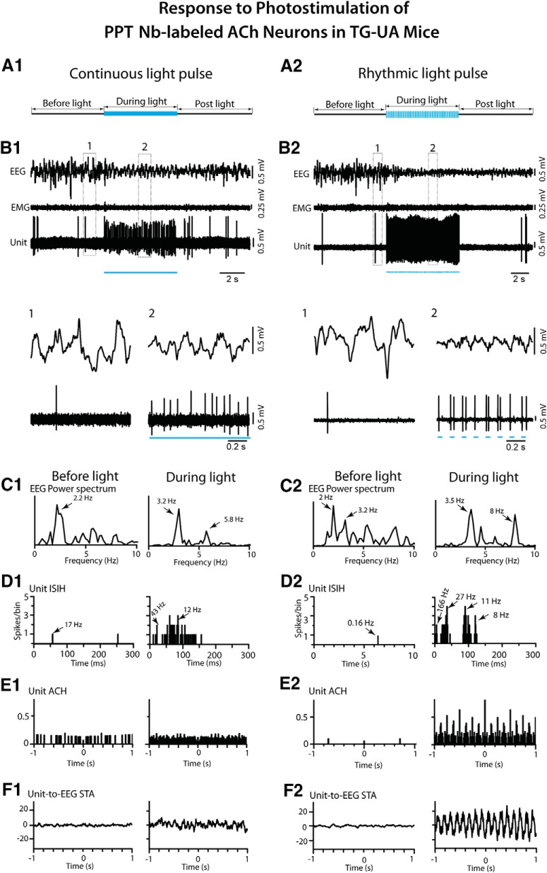 Figure 11.