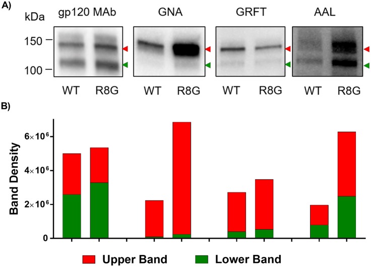 Fig 11