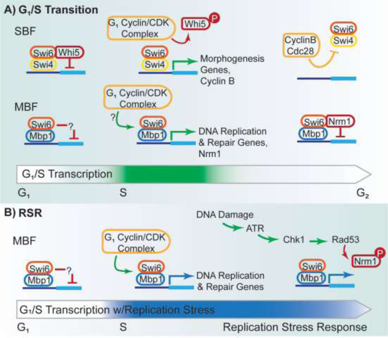 Figure 1: