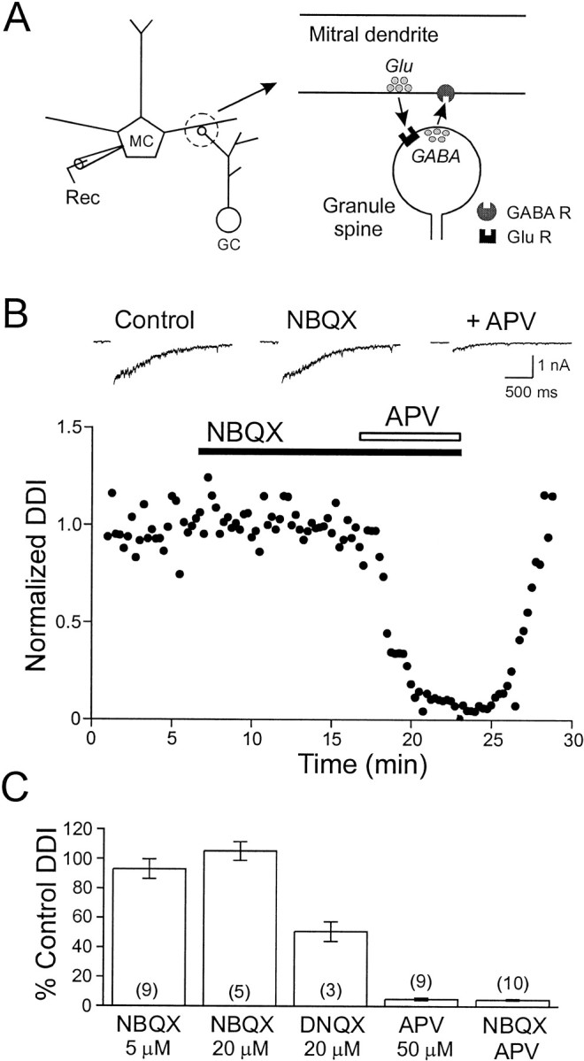 Fig. 1.