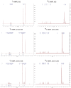 Figure 1—figure supplement 3.