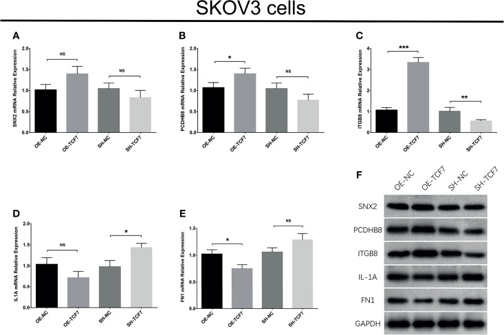 Figure 4