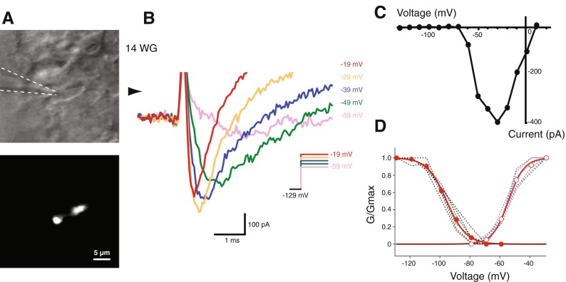 FIG. 3