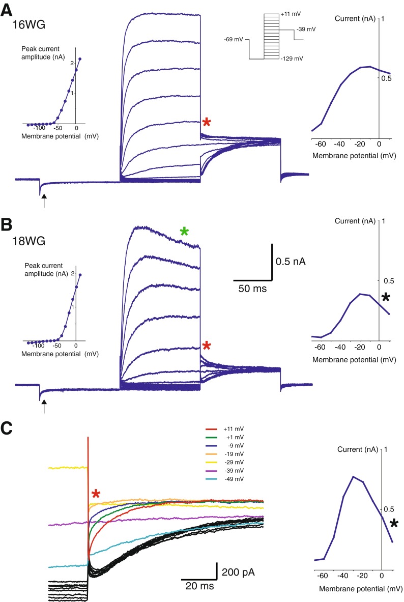 FIG. 4