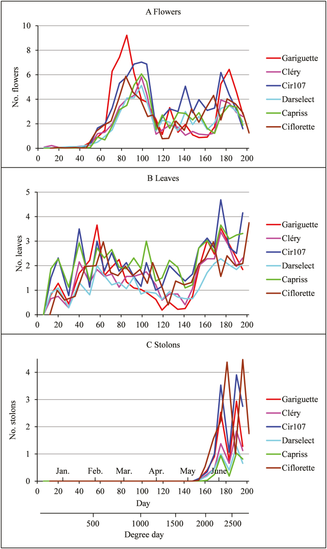 Fig. 2.