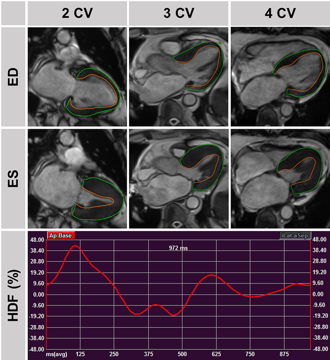 Fig. 4