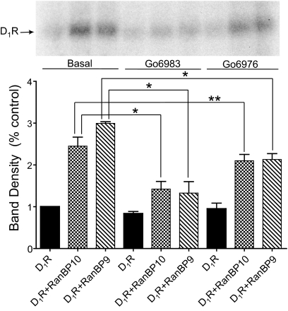 Fig. 12.