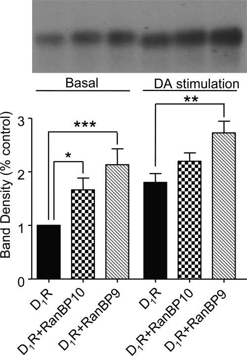 Fig. 11.