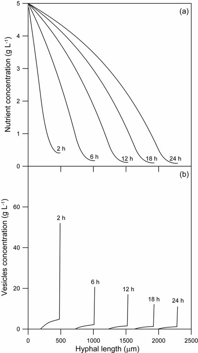 Fig 4